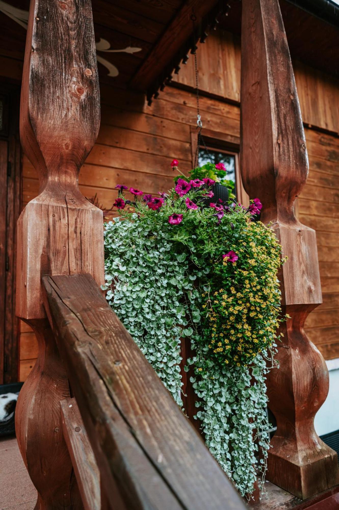 Cisowka Pokoje Goscinne Piwniczna-Zdroj Exterior foto